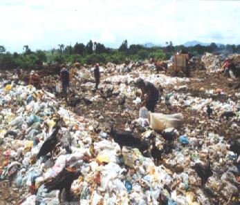 BIOSFERA x AÇÕES ANTRÓPICAS O USO DE