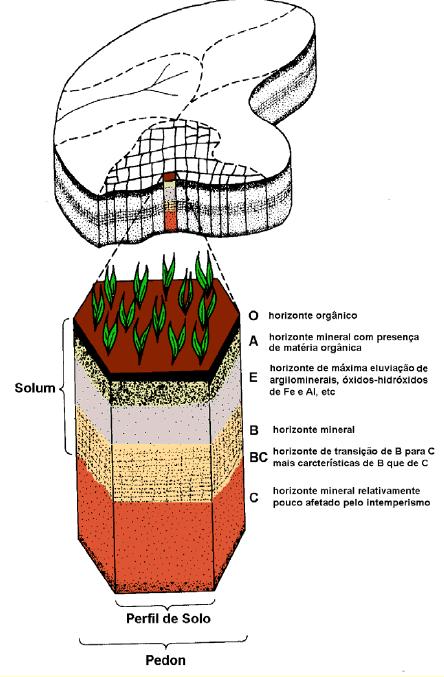 o perfil do solo Esquema