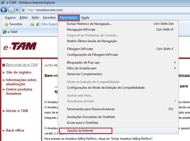 Configurações do Internet Explorer Para instalação do software e-tam é necessário configurar o