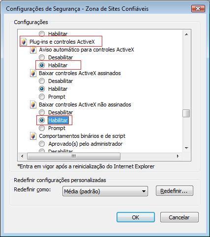 Plugins e Controles ActiveX 5 Clique em nível personalizado e localize