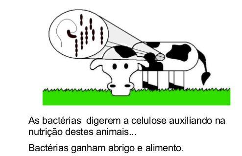 espécie só consegue viver