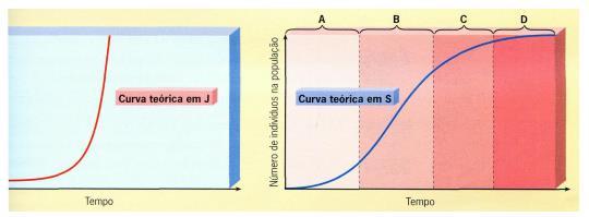 Crescimento Populacional Capacidade de carga:número máximo de