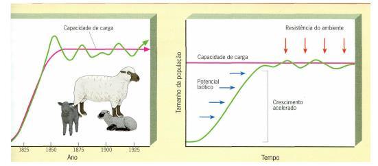 Potencial biótico Entretanto, condições ideais estão presente apenas no imaginário dos