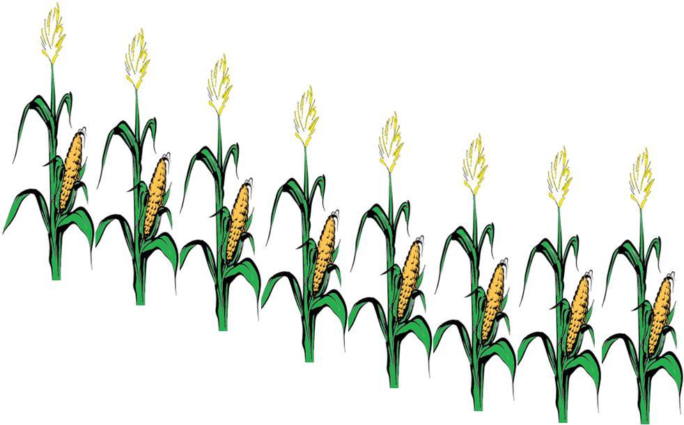 Conceito: balanço de nutrientes çã çã >> ê,, ( ) Gases: VOC, CO 2, CH 4, N