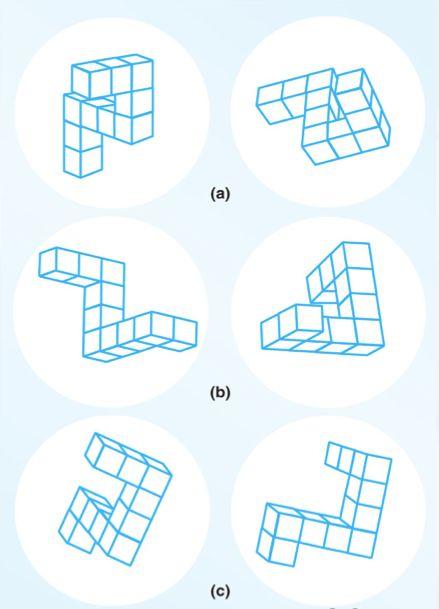 Hipótese da Equivalência Funcional Imaginação visual não é idêntica à percepção visual, mas são funcionalmente