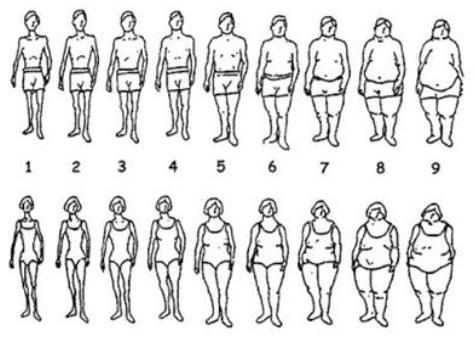 INTRODUÇÃO A adolescência é um período com características únicas no ciclo de vida e no qual ocorrem transformações biopsicossociais importantes que são determinantes para que se desenvolva a