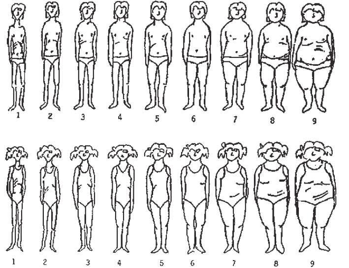 2501 Figura 1. Escala de silhuetas de Tiggemann & Wilson-Barret (1998. A escala de Tiggemann não teve suas qualidades psicométricas avaliadas no Brasil.