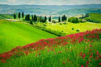 Gimignano.