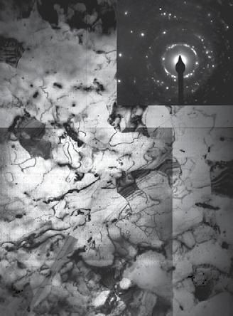 (Al(Fe)) mostram a ausência de precipitados nos materiais consolidados sob a temperatura de extrusão mais elevada, 425 C, porém verifica-se a presença de precipitados nos materiais quando