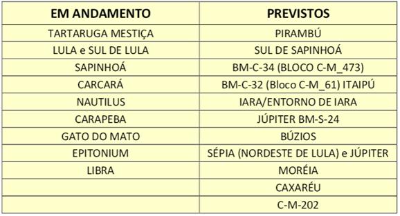 por ano. As divisas poderiam ser utilizadas em contratações externas, mantidas exigências de conteúdo local mínimo.