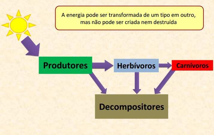 potencial é 100% eficiente, pois parte