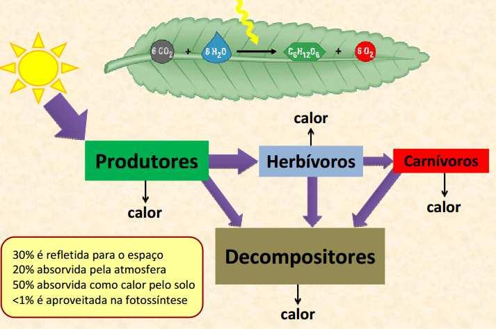 UNIDIRECIONAL Sistemas