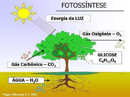 Relembrando a Fotossíntese Fotossíntese - Respiração celular (Ueg 2013) As