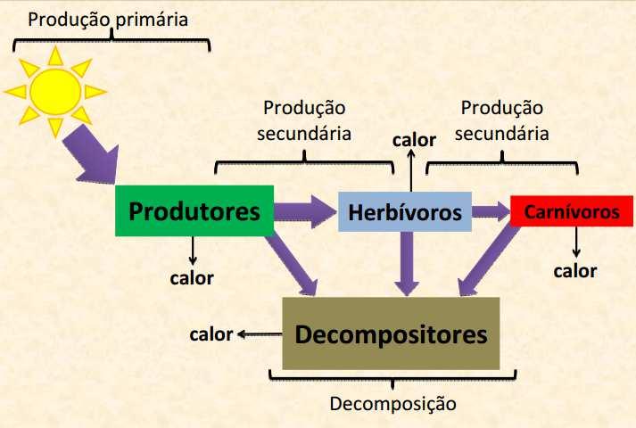 outro, confirmando a entropia natural.