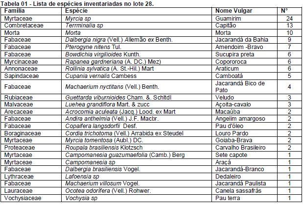 Foi reailzada análise de uma área total de 400 m², correnspondente às 115 árvores, porém, cabe destacar que a área a ser suprimida corresponde à 232 m² e, aproximadamente, 67 árvores.