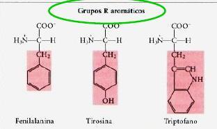 O mecanismo de ação do glifosato é bastante singular porque ele é o único herbicida capaz de inibir especificamente a enzima 5-enolpiruvilchiquimato-3-fosfato-sintase