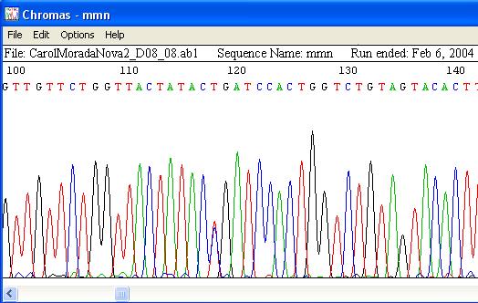 Figura 13. Exemplo de um eletroferograma visualizado pelo aplicativo Chromas (da Applied Biosystems) em uma interface gráfica para melhor visualização de picos e posições. 4.