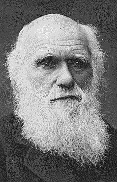 O QUE É ADAPTAÇÃO? ADAPTAÇÃO A QUÊ? O QUE É AMBIENTE? Charles Darwin foi um notável cientista do Séc.