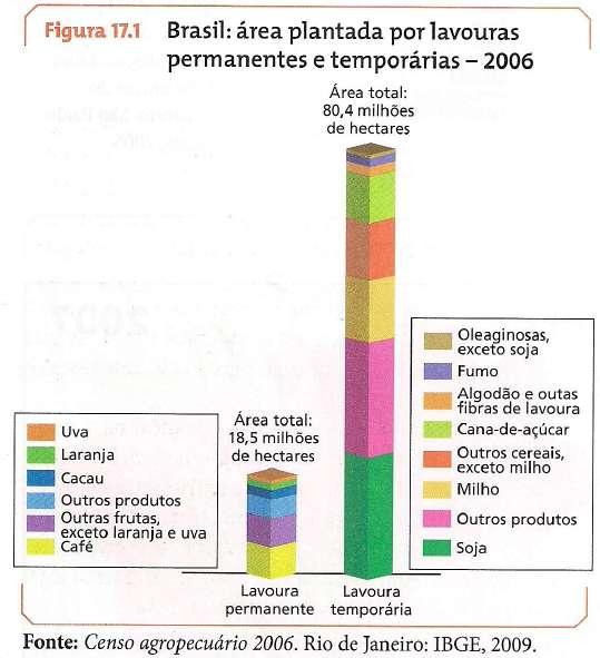 Podemos dividir a área agrícola em dois tipos de Iavoura: cultura permanente e cultura temporária.