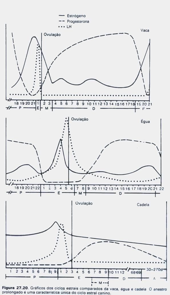 Fig. 2 Picos hormonais na