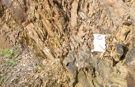 , 1998) e agora modificado, cujo conhecimento é essencial para se poder entender a geologia regional. Fig. 2- Filão clástico em sedimentos turbidíticos da Formação de Mértola.