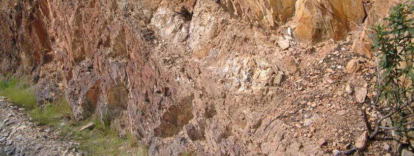 Local i - Nas trincheiras do caminho de ferro a oeste do local anterior podem observar-se xistos argilosos da Formação Nascedios intruídos por um filão
