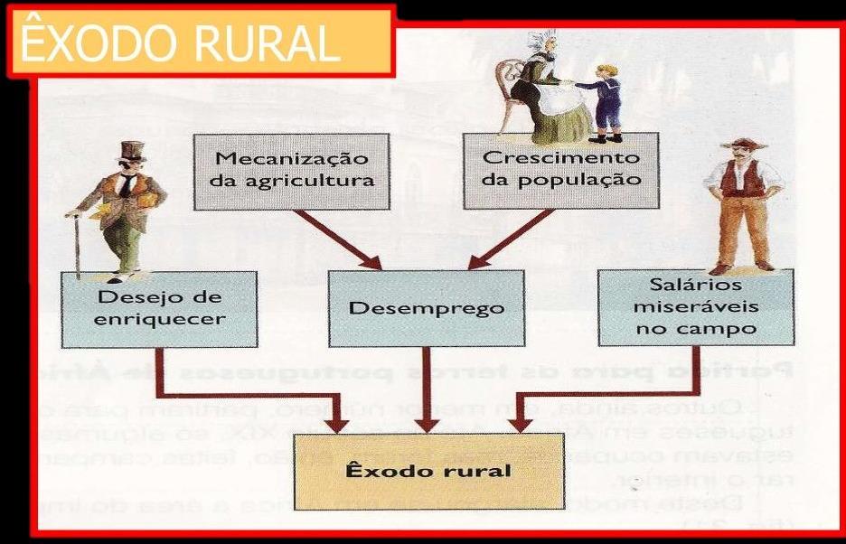 Contextualização Sociedade