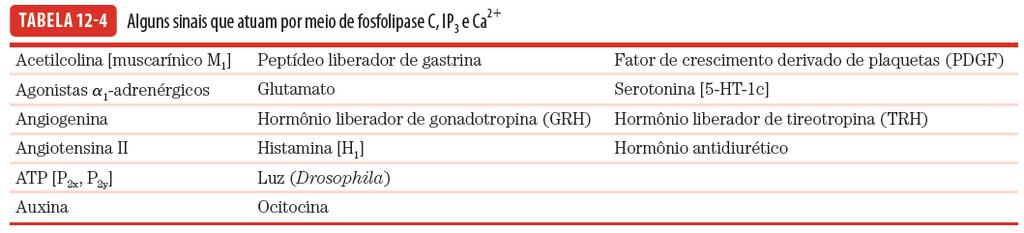 (DAG) Ativa isoenzima da PKC