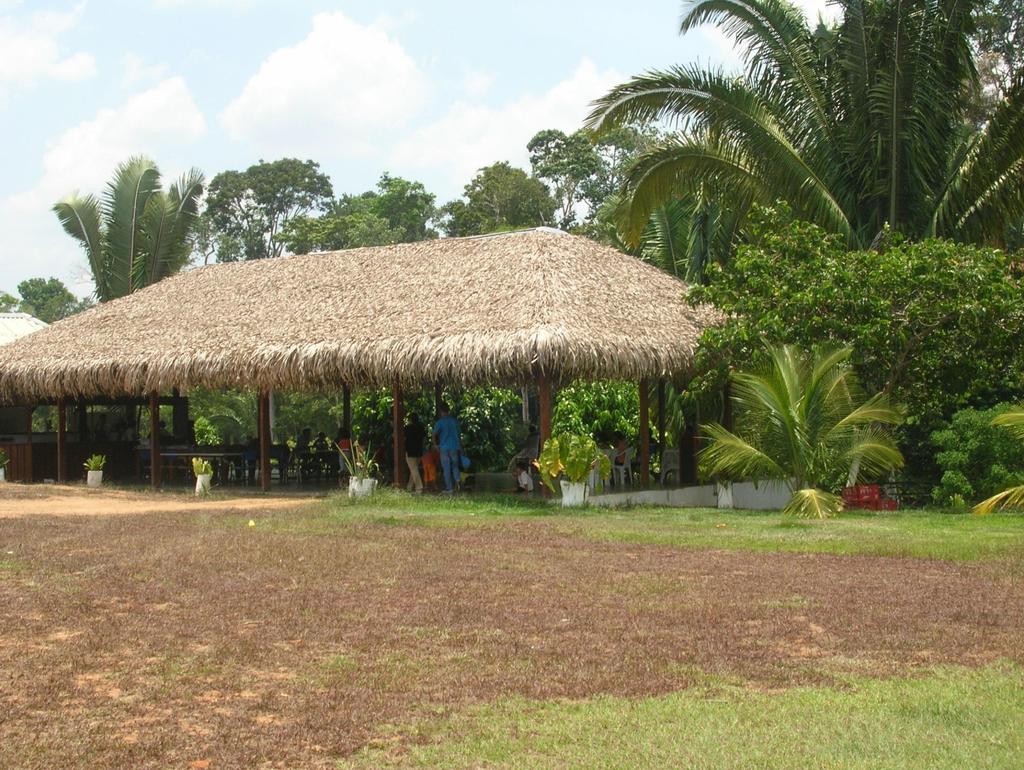 Manaquiri Chapéu de palha