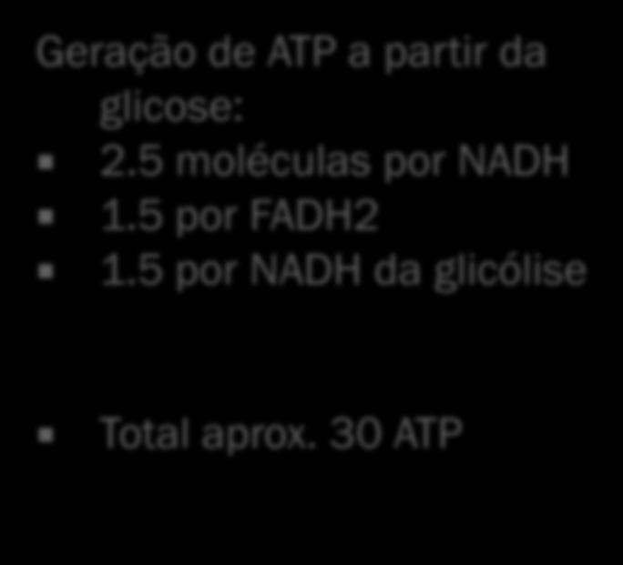 + 7 FADH2 8 Acetil-CoA 24 NADH + 8 FADH2 Krebs: 2 Acetil CoA 6 NADH + 2 FADH2 + 2 ATP TOTAL: 31 NADH + 15 FADH2 = 77.5 + 22.