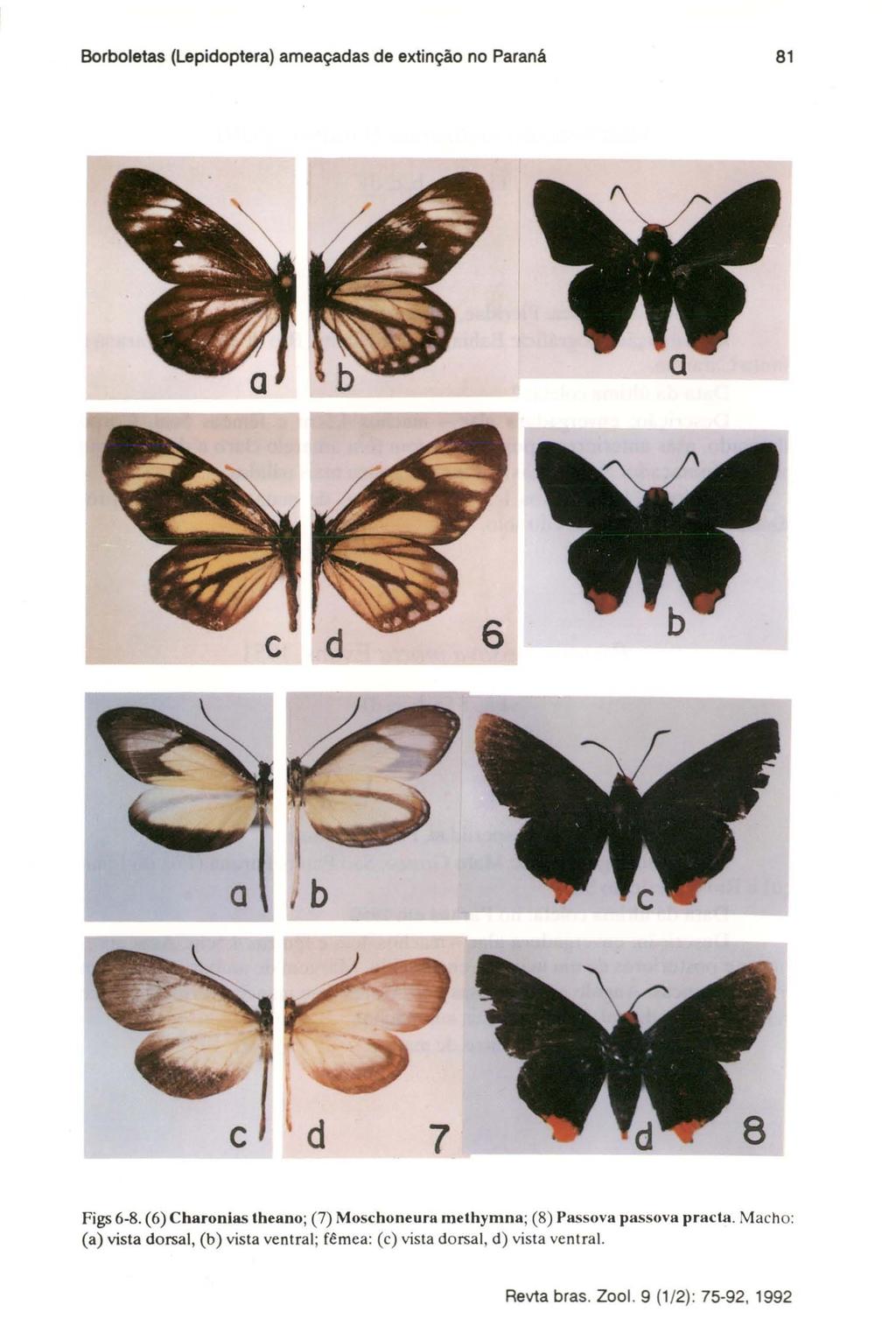 Borboletas (Lepidoptera) ameaçadas de extinção no Paranâ 81 c d 7 Figs 6-8.
