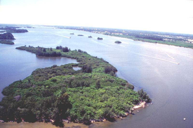Área de Estudo Indian River Lagoon (IRL): Série