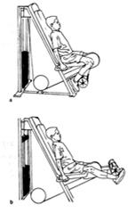 Massa Muscular Intensidade (mesmo número de repetições) (mmhg) 240 220 200 180 160 140 1 arm-curl 1 leg-press 2