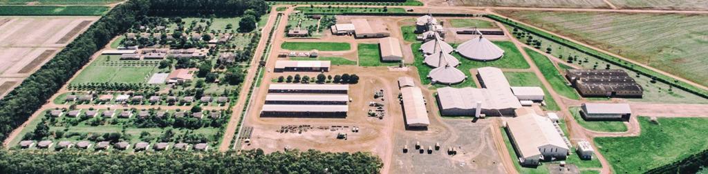 FAZENDA PLANALTO MATO GROSSO DO SUL 1 3 4 2 7 5 8 12 13 6 9 11 10 1 ALOJAMENTO 6 BARRACÃO DE MÁQUINAS 11 ARMAZENAGEM DE ALGODÃO 2 VILA DA FAZENDA 7