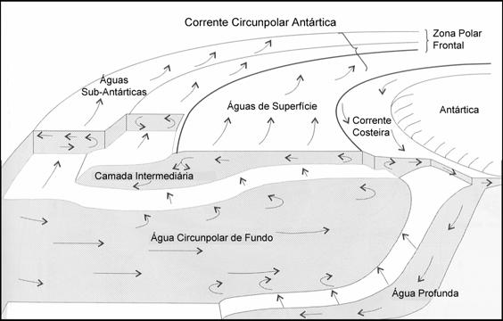 10 (A) (B) Figura 2.3 Principais correntes oceânicas na Antártica e seus fluxos. (A) Vista superior (Aquino, 1999); (B) vista em corte (modificado de Hanson & Gordon, 1998). 2.2.2 Biota A vida na Antártica está concentrada nos mares em redor do continente, nas suas ilhas ou na costa.