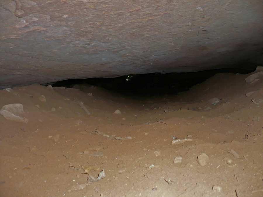 2 A CAVERNA QUE ATRAVESSA O MORRO No Bairro Rincão Gaúcho, em Estância Velha, existe uma caverna que atravessa o morro. Ouvimos a história e resolvemos conferir. Será que é uma paleotoca?