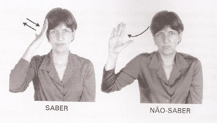 processos de flexão. Segundo Ferreira (2010), Quadros e Karnopp (2004) a Libras se flexiona em pessoa, número, grau, tempo, modo e aspecto.