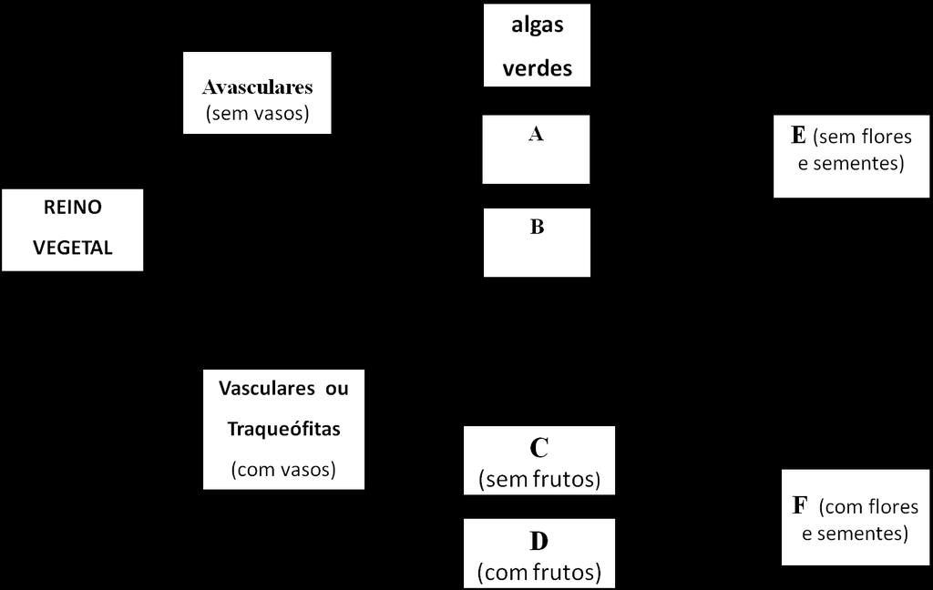 10. Observe o esquema abaixo e assinale a(s) proposição(ões) CORRETA(S). 01. A corresponde às plantas denominadas pteridófitas. 02. As samambaias são representantes de B. R: 62 04.