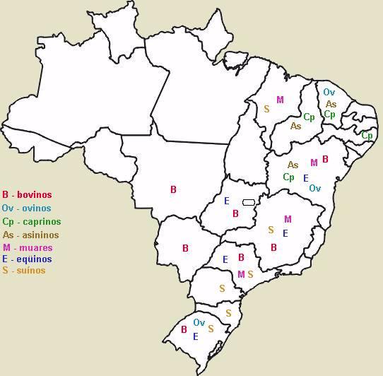 Além desses produtos podemos lembrar do feijão (MG-SP), importante alimento para o mercado interno, a mandioca, a banana (Vale do Ribeira) além da maior produção de frutas tropicais.