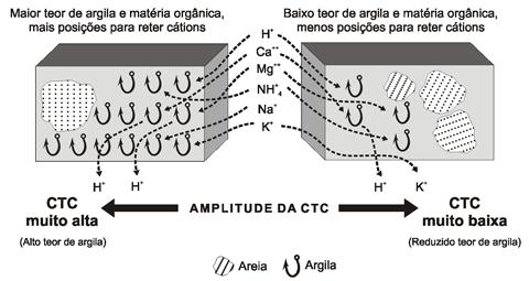 FASE SÓLIDA Diferenças de capacidade de troca de cátions