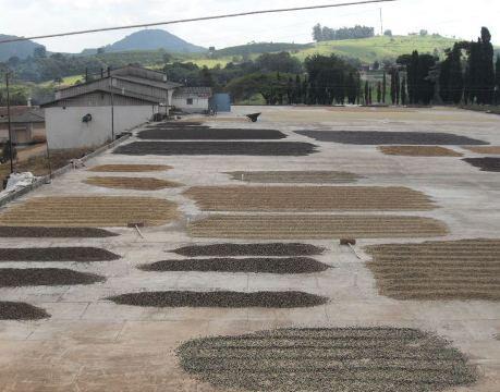 secagem para cada produto depende do seu teor de água, do total de irradiação solar, mas