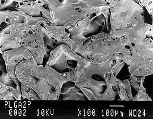O material apresenta ainda pequenas fissuras nessas superfícies indicando uma região de penetração da água no processo de dissociação e retirada