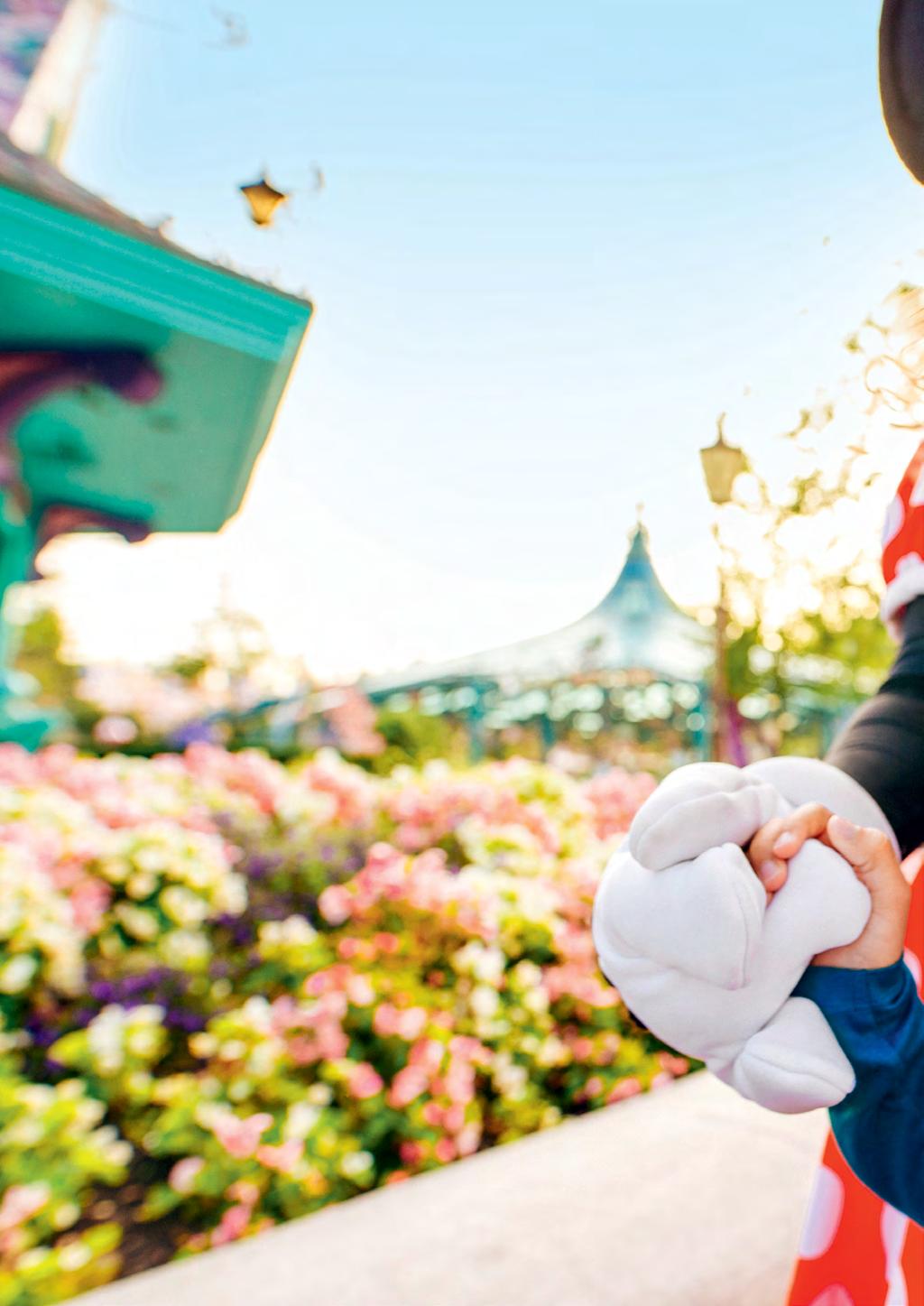 PARQUE DISNEYLAND Os sonhos tornam-se realidade no Parque Disneyland, onde os contos de fadas ganham vida em cinco terras mágicas.