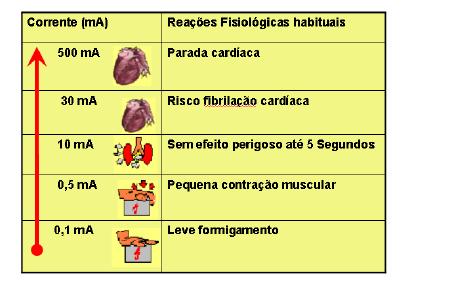 LABORATÓRIO EDIFÍCIOS/PROJETOS/PROC. PRODUÇÃO 5/12 1.a. Efeito fisiológico da corrente no corpo humano. 1.b. O socorro às vitimas Respiração assistida O método boca-a-boca é o mais eficiente.