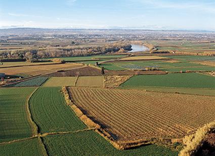 agricultura: Começou a utilizar excessivamente pesticidas.