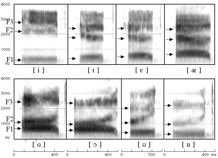 características acústico-articulatórias do som produzido, o que permitirá, por exemplo, em nosso estudo, analisar a produção dos sons vocálicos em palavras funcionais do inglês.
