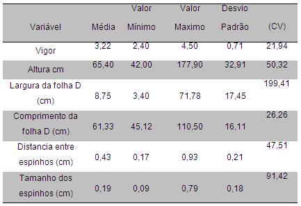 Caracterização morfológica de acessos de abacaxizeiro 3 RESULTADOS E DISCUSSÃO A análise estatística descritiva das variáveis estudadas nos acessos com espinho mostrou que a largura da folha D (folha