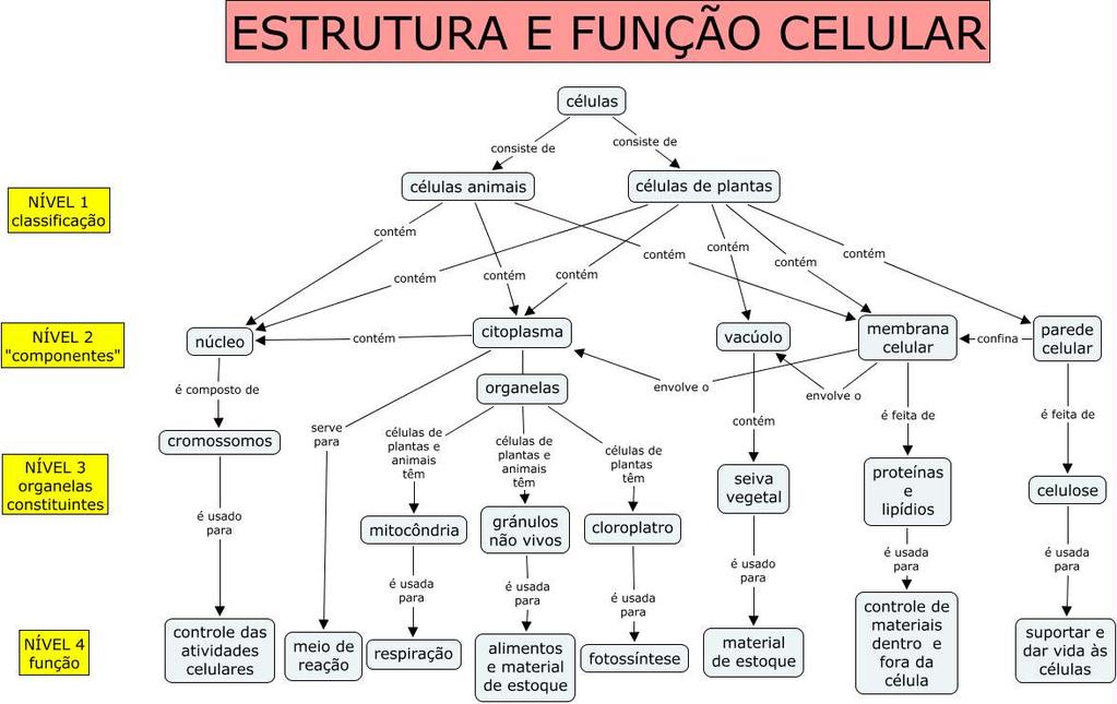 Mapas Conceituais e a