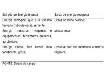 Na área foi visualizada as entradas e saídas de energia, os organismos e populações significativas estabelecidas no agroecossistema bem como os fatores abióticos.