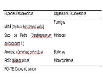Tabela 2- Organismos e Populações estabelecidas Considerando o solo da unidade experimental, este é caracterizado como Latossolo Vermelho distroférrico típico, Unidade de Mapeamento Santo Ângelo